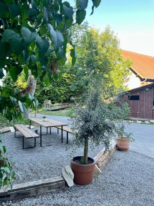 Zauberhafte Ferienscheune Im Hofgut Alte Oelmuehle إنجين المظهر الخارجي الصورة